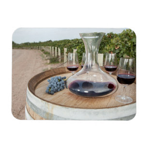 Íman Vinho tinto no vinhedo