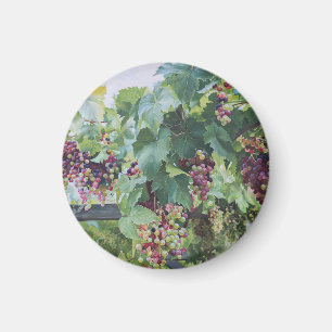 Íman Vinícola do Vale do Loire – Pintura de Uvas France