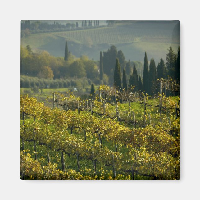 Íman Vinícola, Toscana, Itália (Frente)