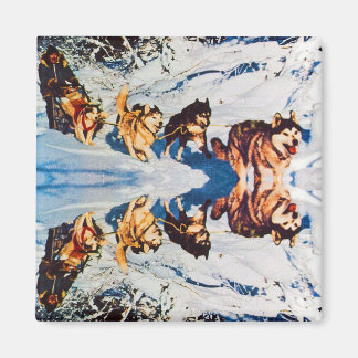 Íman Vintage Alaska eskimo Malamute