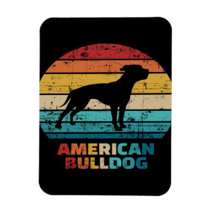 Íman Vintage American Buldog