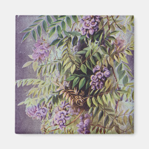 Íman Vintage American Wisteria Purple Flowers Floral