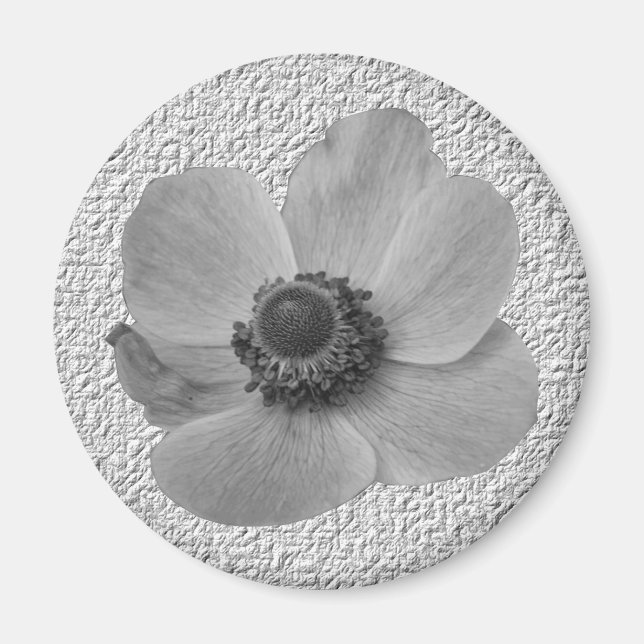 Íman Vintage Anemone Magnet (Frente)