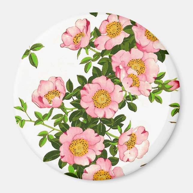 Íman Vintage - Blossomas de Cereja Japoneses, Rosa e Do (Frente)