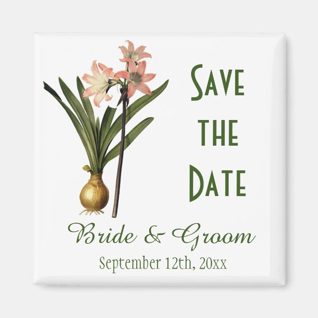 Íman Vintage botanical art pink lily save date (Frente)