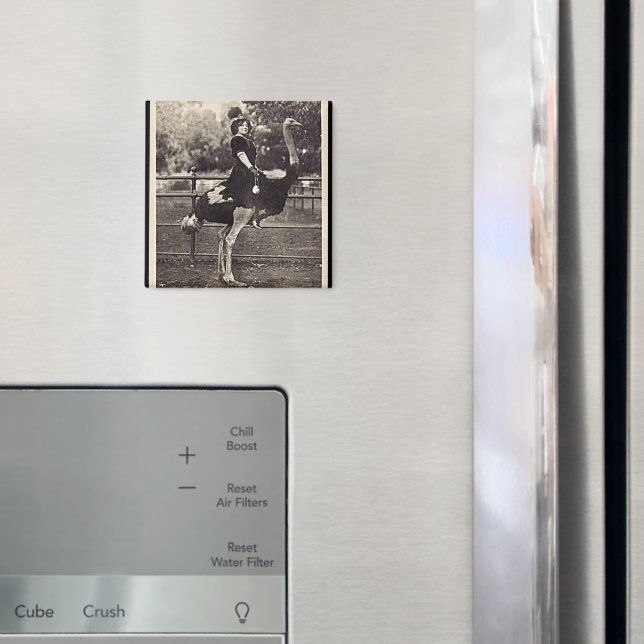 Íman Vintage Broadway Atriz pilotando um avestruz (In Situ (Fridge))