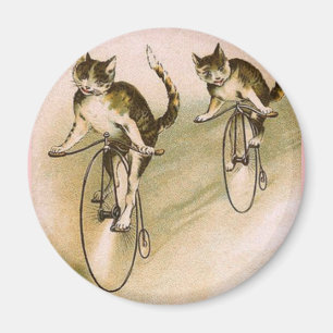 Íman Vintage Cats on Bikes