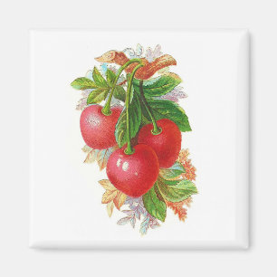 Íman Vintage Cherries