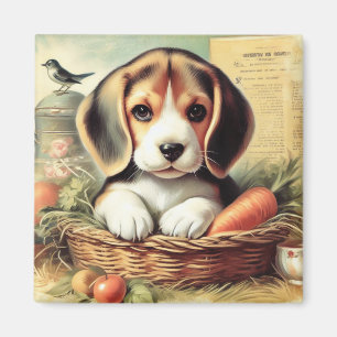 Íman Vintage Cute Beagle Puppy
