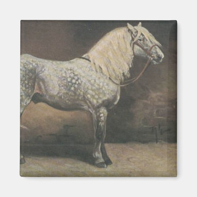 Íman Vintage Dapple Cinza (Frente)