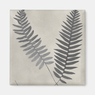 Íman Vintage Ferns