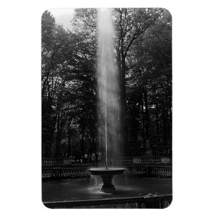 Íman Vintage France Versailles Palace Grove de Domes