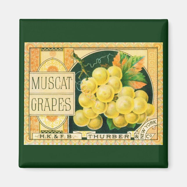 Íman Vintage Fruta Crate Label Art, Muscat Graphics (Frente)