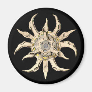 Íman Vintage Haeckel
