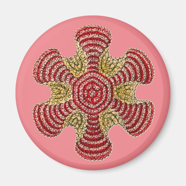 Íman Vintage Haeckel (Frente)