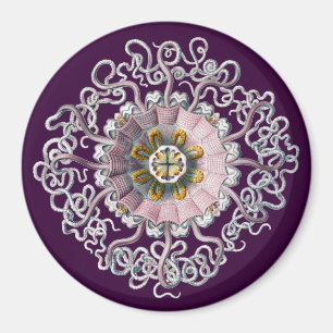 Íman Vintage Haeckel Personalizável