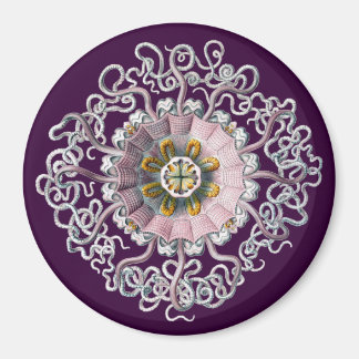 Íman Vintage Haeckel Personalizável