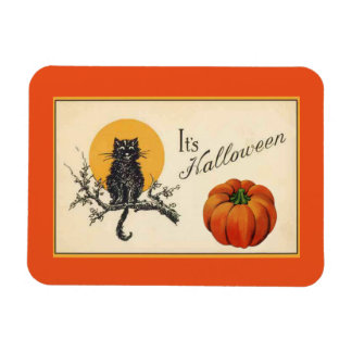 Íman Vintage Halloween Cat