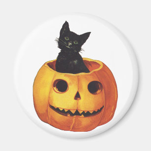 Íman Vintage Halloween, Gato Negro Bonito numa Abóbora