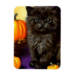 Íman Vintage Halloween Kitten