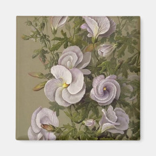 Íman Vintage Lilac Hibiscus Purple Flowers Floral