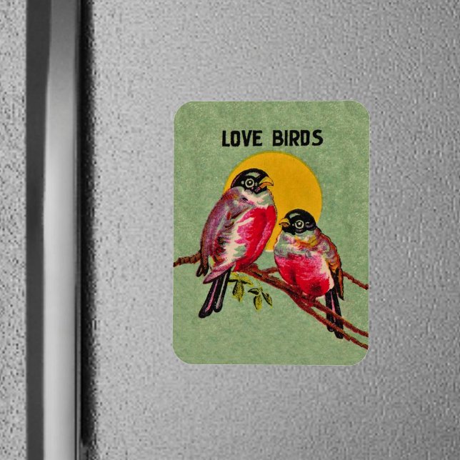 Íman Vintage Love Birds Sun (Two red love birds sitting together on a branch in front of sun on green frig magnet.)
