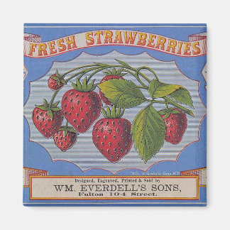 Íman Vintage Morangos Frescos