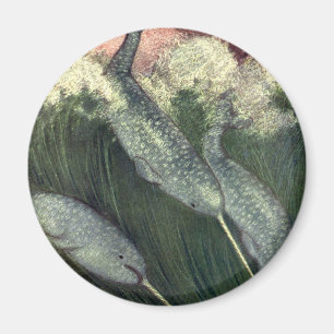 Íman Vintage Narbaleias, Animais do Oceano de Baleias M