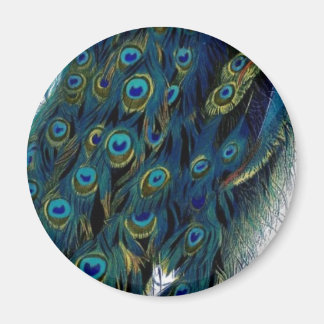 Íman Vintage Peacock