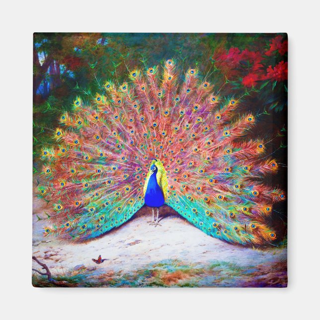 Íman Vintage Peacock Painting (Frente)