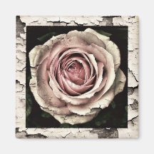 Vintage Pink Rose