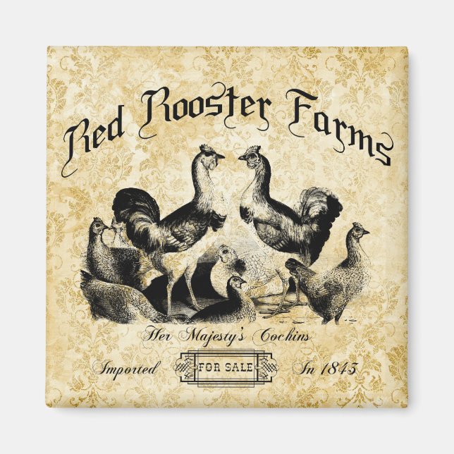 Íman Vintage Poultry Fazenda Advertisement (Frente)