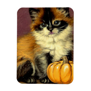 Íman Vintage Ragdoll Halloween Cat