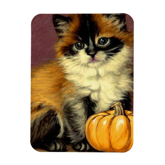 Íman Vintage Ragdoll Halloween Cat (Vertical)