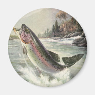 Íman Vintage Rainbow Trout Pescador Pesca de Peixes