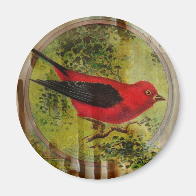 Íman Vintage Red Bird (Frente)