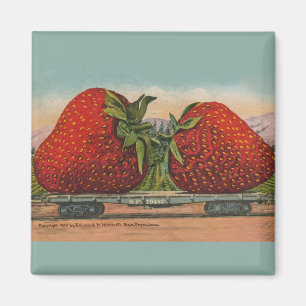 Íman Vintage Red Strawberry Fruta fresca