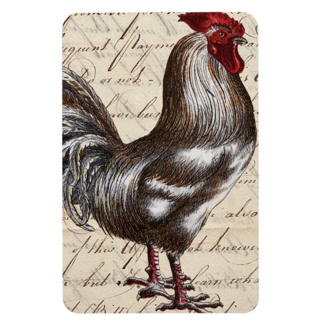 Íman Vintage Rooster (Vertical)