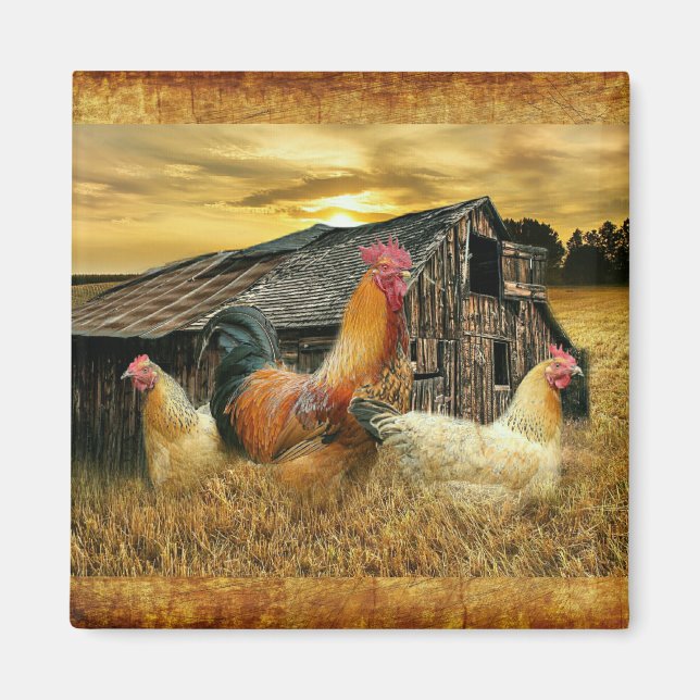 Íman Vintage Rooster Hens Russo Barn Coop (Frente)