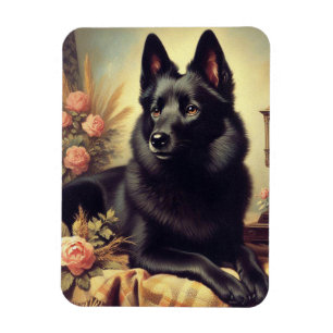 Íman Vintage Schipperke Dog Painting