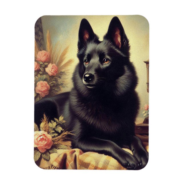 Íman Vintage Schipperke Dog Painting (Vertical)