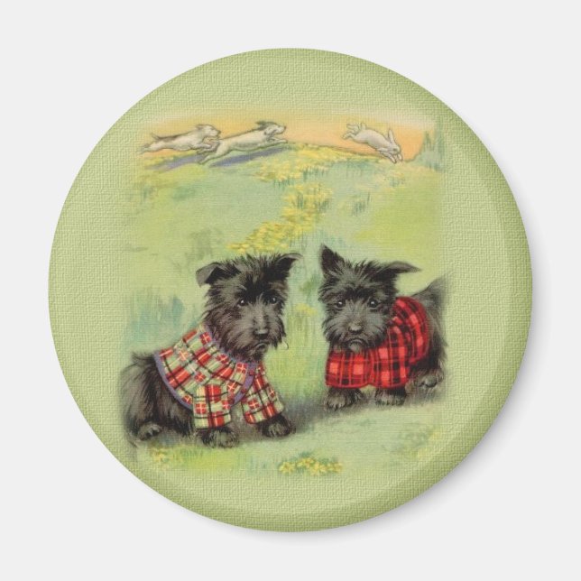 Íman Vintage Scottish Terrier Round Magnet (Frente)