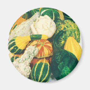 Íman Vintage Seed Packet Art, Mistura de Gourds Squash