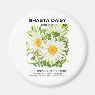 Íman Vintage Seed Packet Art, Shasta Daisy Flowers