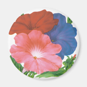 Íman Vintage Seed Packet Label Art, Petunia Flowers