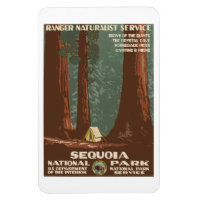 Vintage Sequoia Park CA, poster de viagens turísti