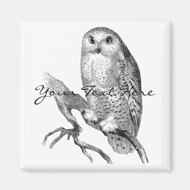 Íman Vintage Snowy Owl Magnet (Frente)