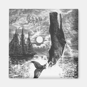 Íman Vintage Sperm Whale Breaking, Animais Marinhos