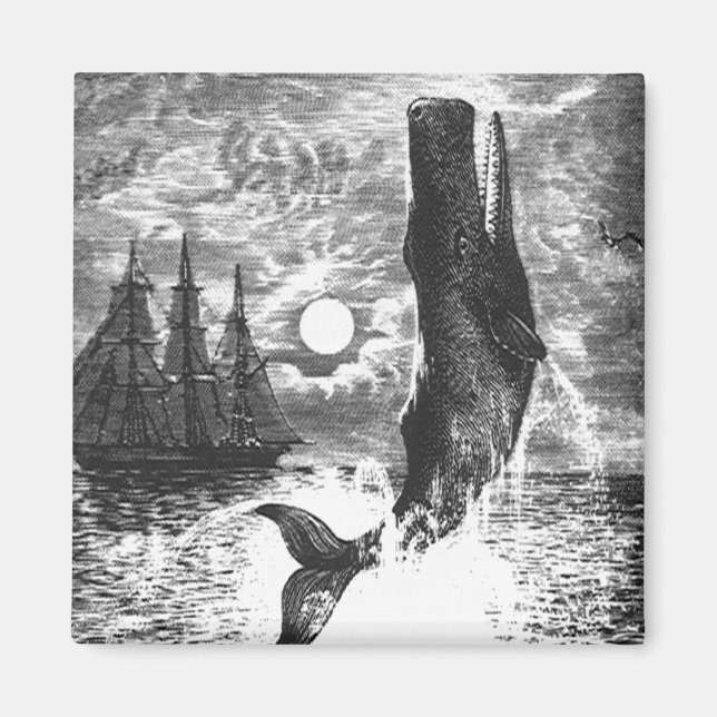 Íman Vintage Sperm Whale Breaking, Animais Marinhos (Frente)