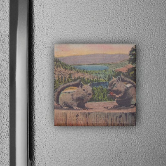 Íman Vintage Squirrels Mountain Scene (Two cute chipmunks in forest on tree stump on magnet.)